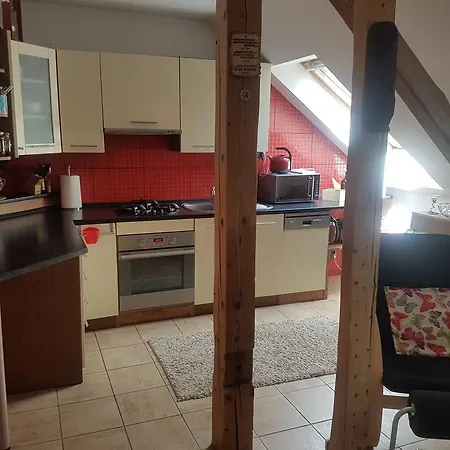 Apartman Pod Svatou Horou Příbram 外观 照片