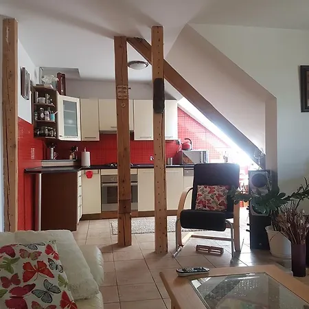 Apartman Pod Svatou Horou Příbram 外观 照片