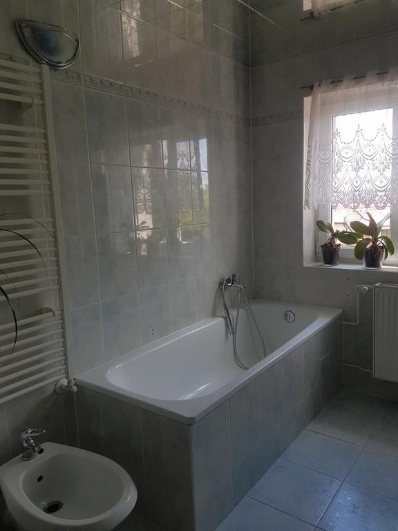 Pod Svatou Horou Apartment Pribram