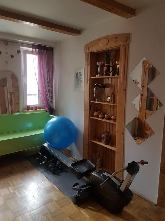 Apartment Pod Svatou Horou *