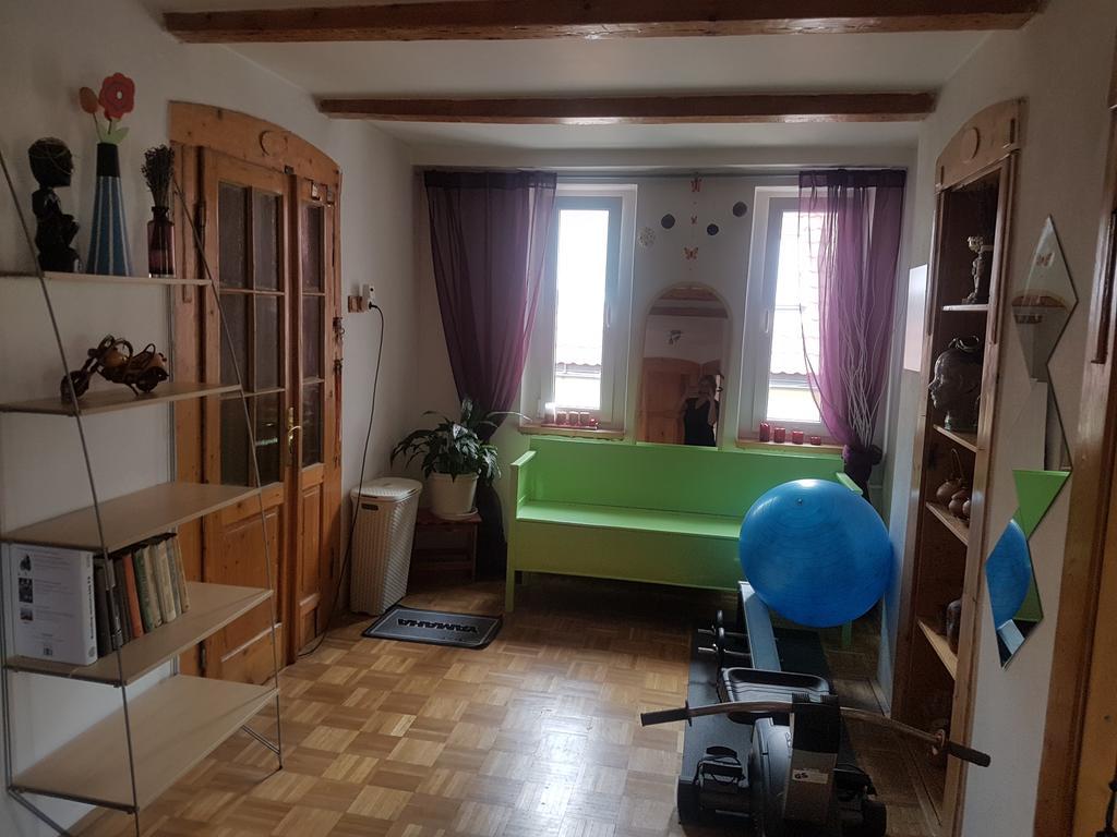 Apartment Pod Svatou Horou *